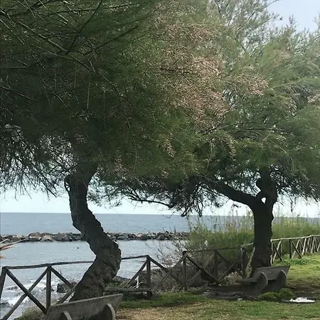 Amuni Вилла
